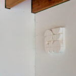 its a jungle out there